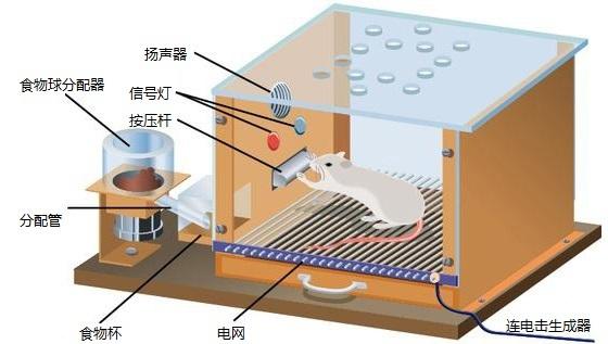 零食店的产品营销策略需注重零食的本质​